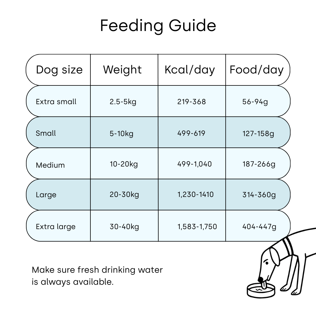 Premium Air-Dried Dog Food - Skin & Coat Wellness.