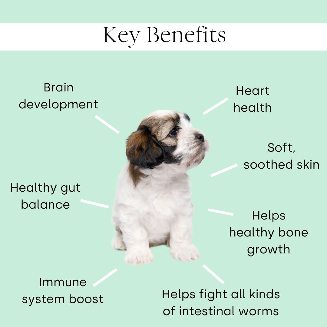Puppy All-In-One (2 packs)