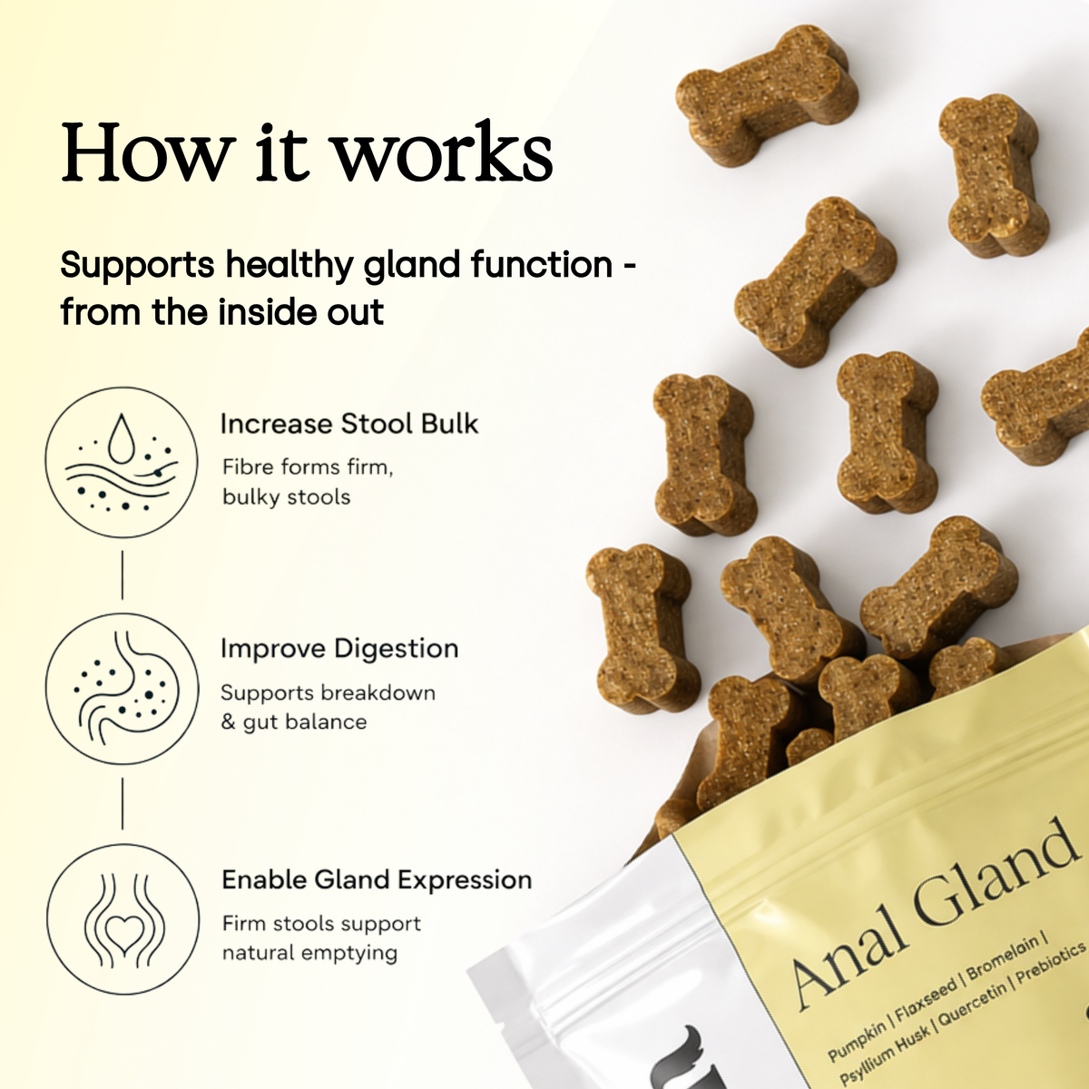Anal Gland