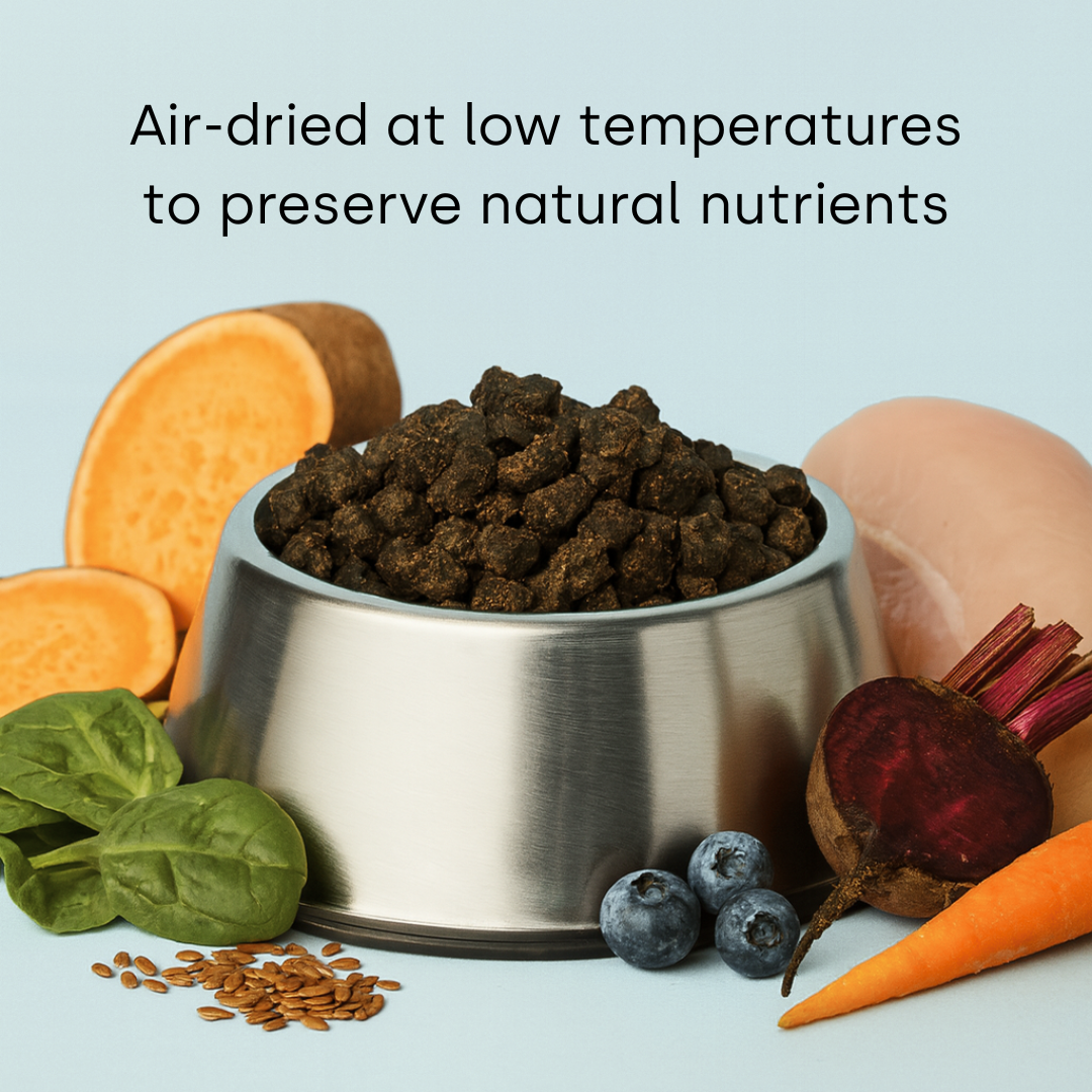 Premium Air-Dried Dog Food - Skin & Coat Wellness.