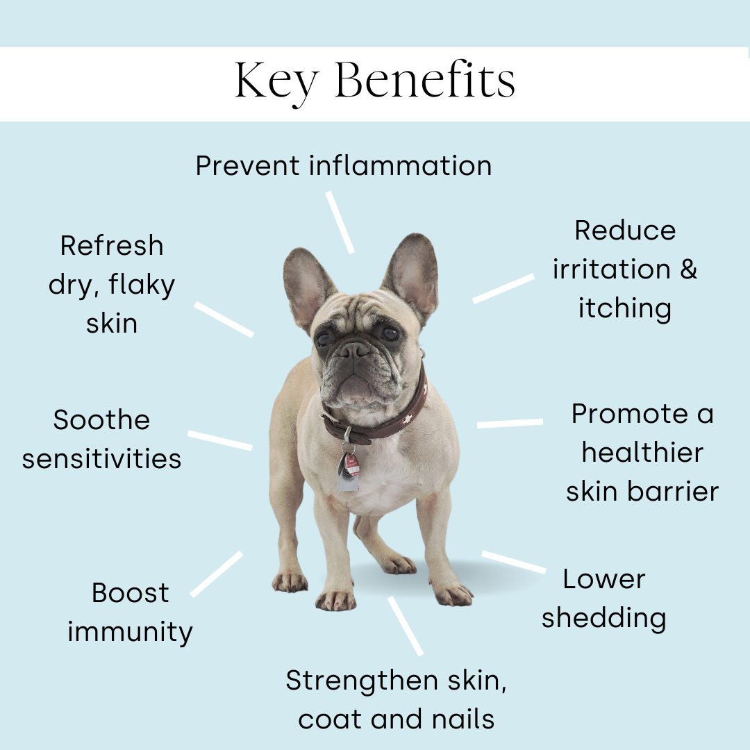 Allergy & Itching (3 packs)