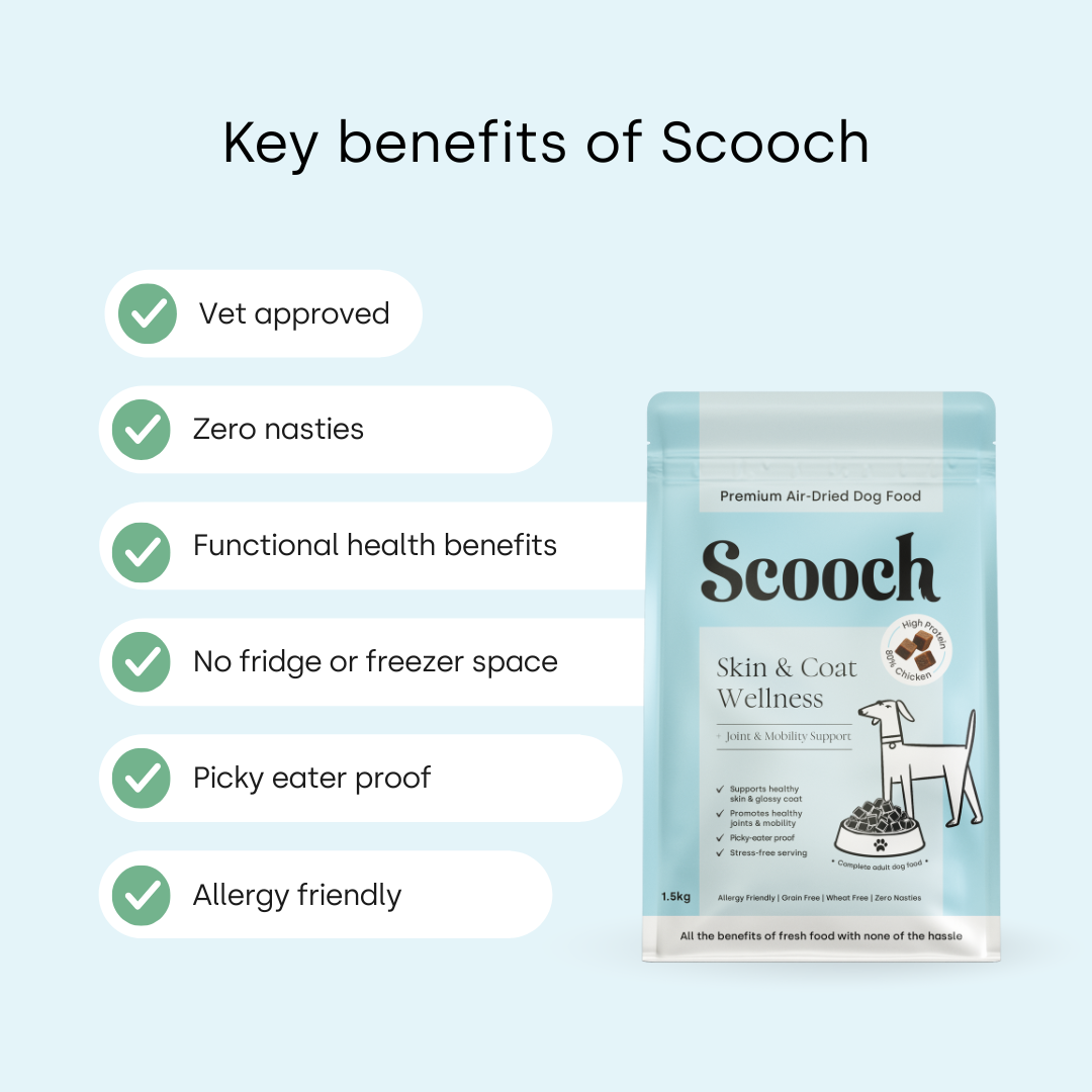Premium Air-Dried Dog Food - Skin & Coat Wellness.