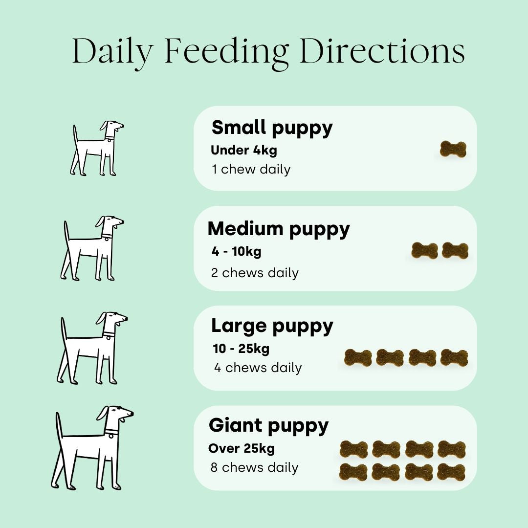 Puppy All-In-One (2 packs)