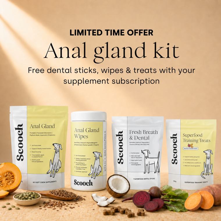 Anal Gland Kit (Subscription)