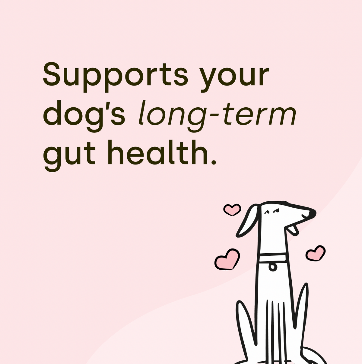 Gut & Digestion (1 pack)