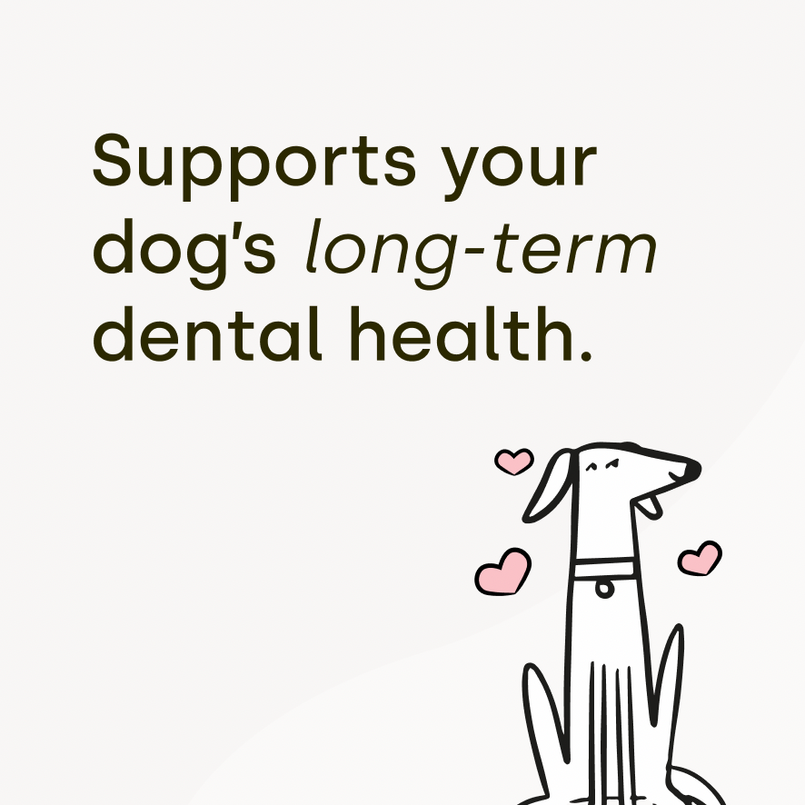 Dental Sticks (3 packs)