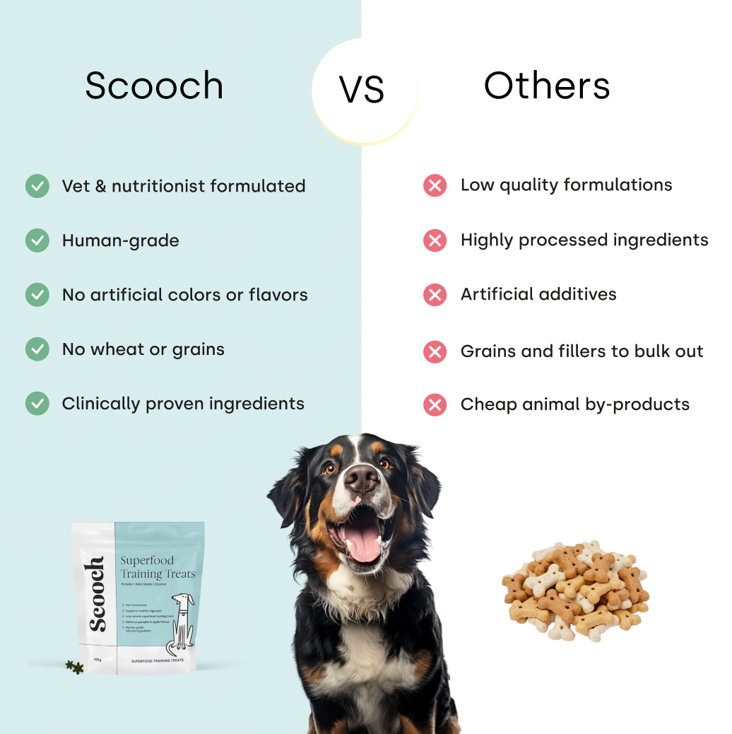 Training Treats (3 packs)