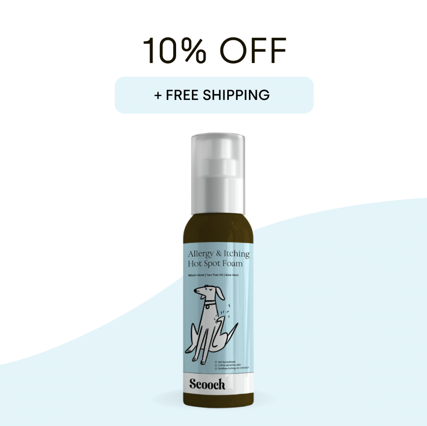 Itching Foam (3 packs)