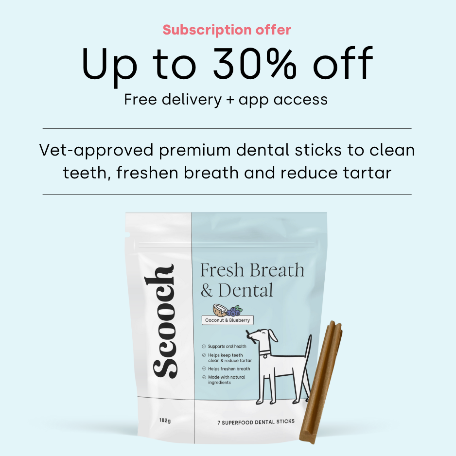 Dental Sticks Coconut & Blueberry (3 packs)