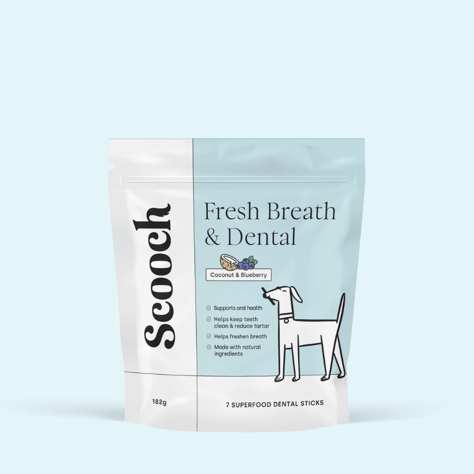 Dental Sticks Coconut & Blueberry (3 packs)