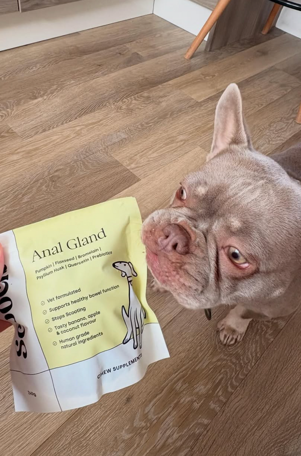 Coco has always been fine with her anal glands but Lulu does a LOT of carpet scooching. These treats are super soft and go down well!
