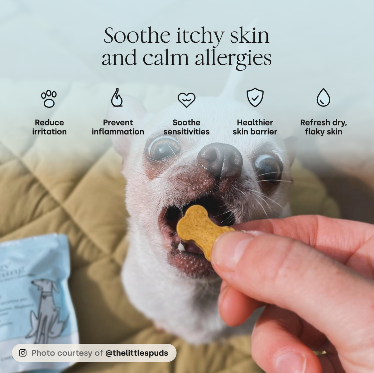 Allergy & Itching