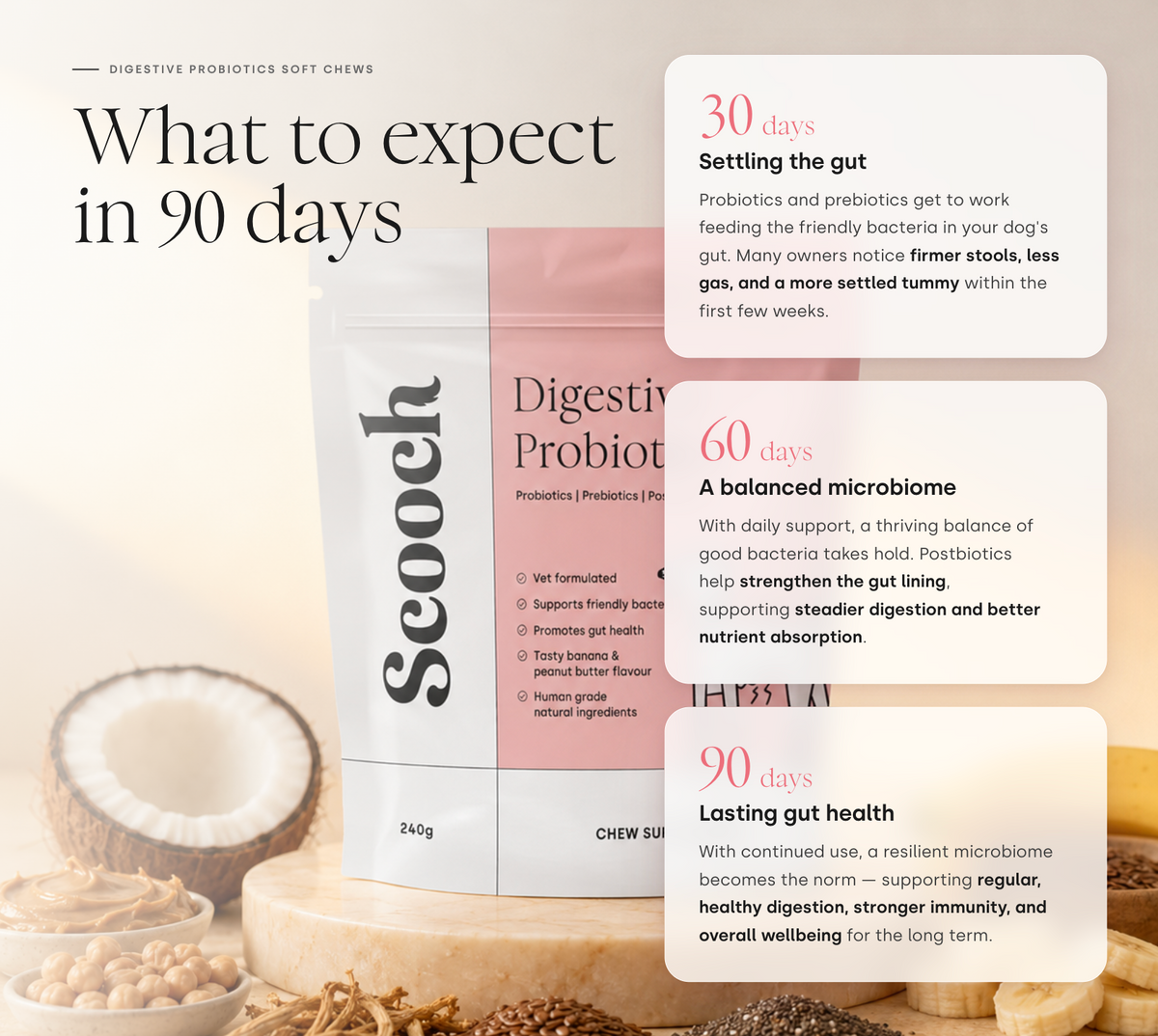 Gut & Digestion