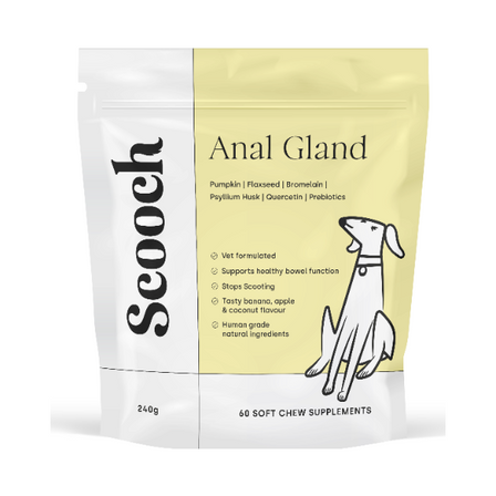 Anal Gland