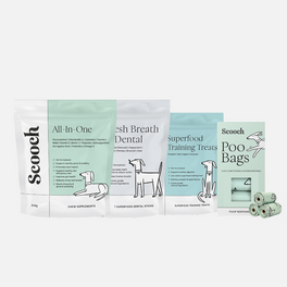 The Essentials (Subscription)