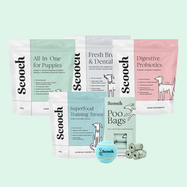 Puppy starter (Subscription)