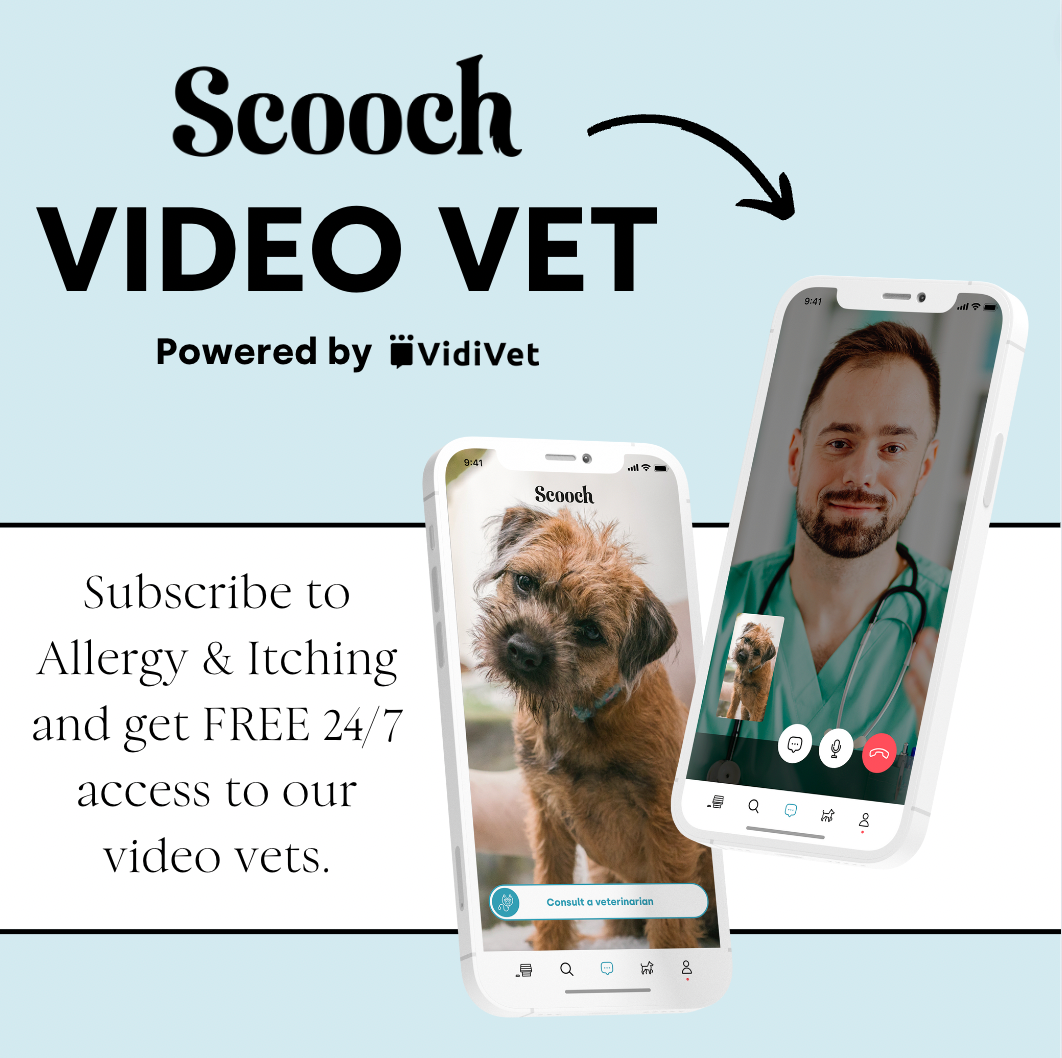 Allergy & Itching (Subscription)