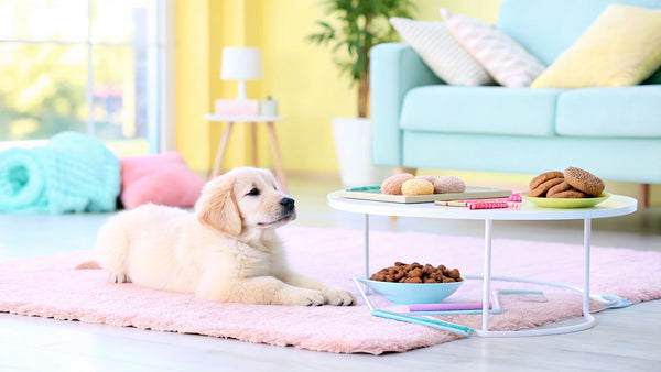 10 Best Puppy Calming Treats for Stress-Free Pups