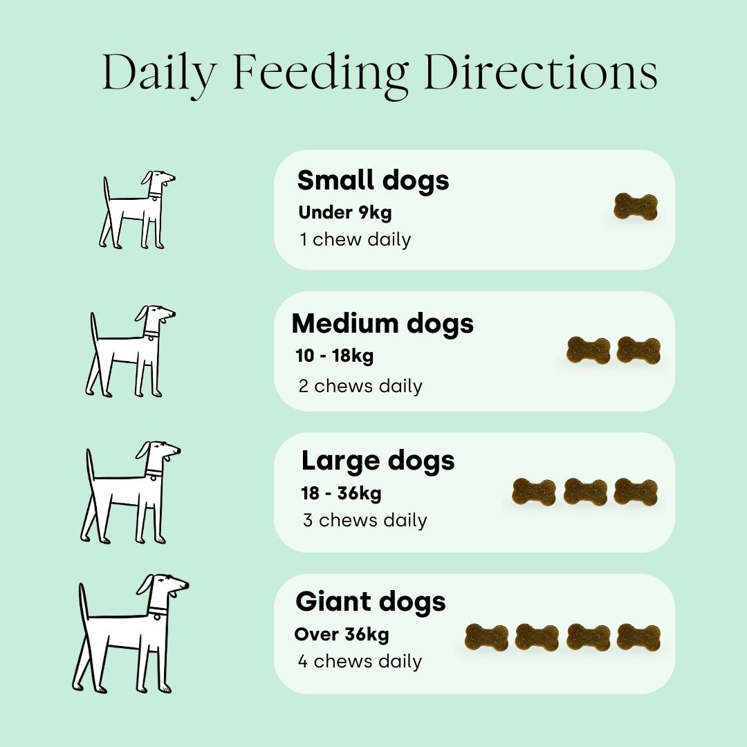 All-In-One (Subscription)