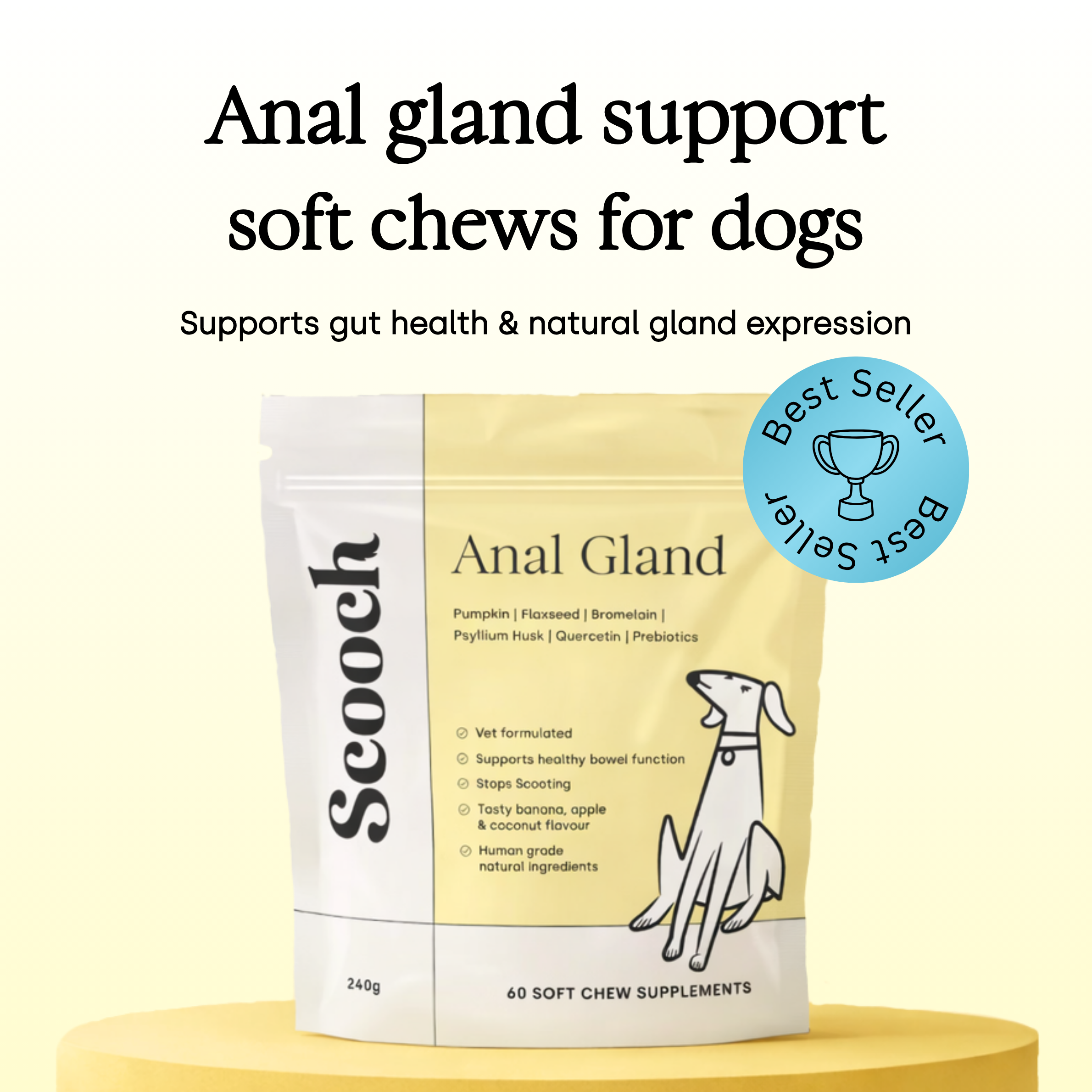 Anal Gland