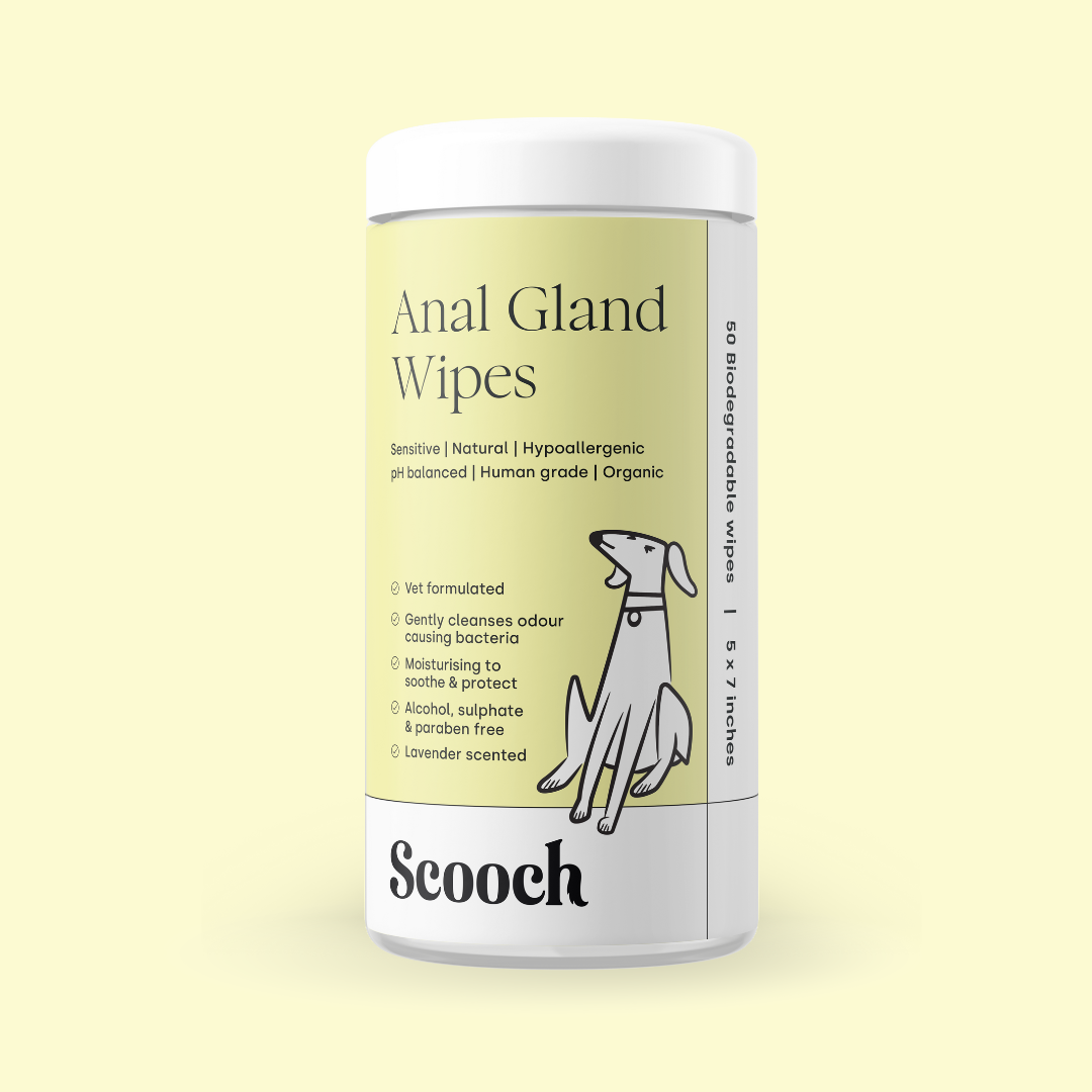 Anal Gland wipes