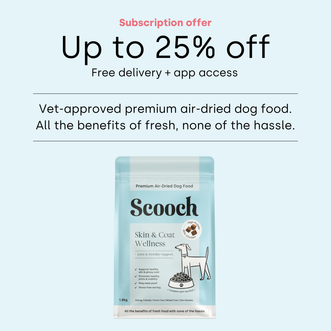 Premium Air-Dried Dog Food - Skin & Coat Wellness.