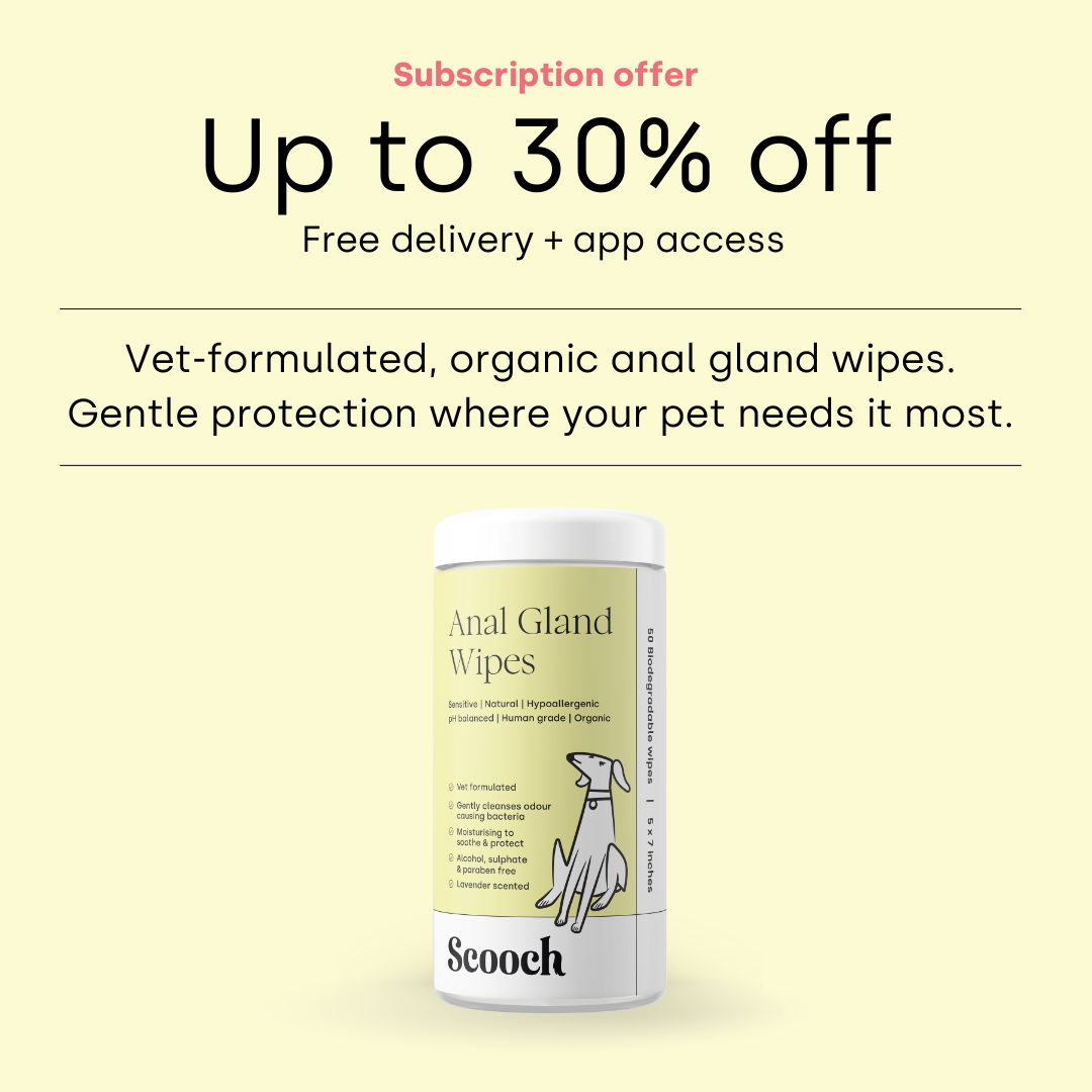 Anal Gland wipes (3 packs)