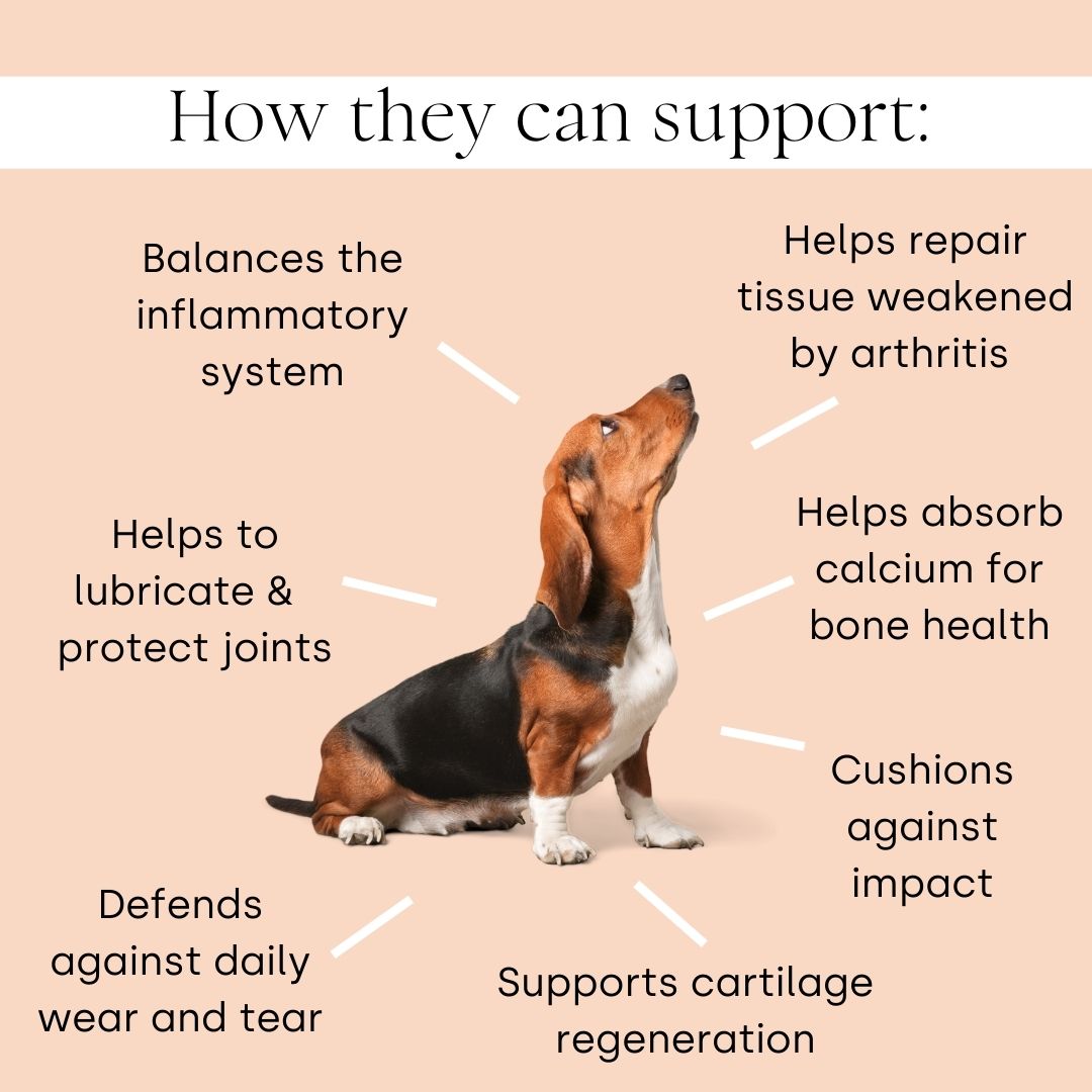 Joint & Mobility.