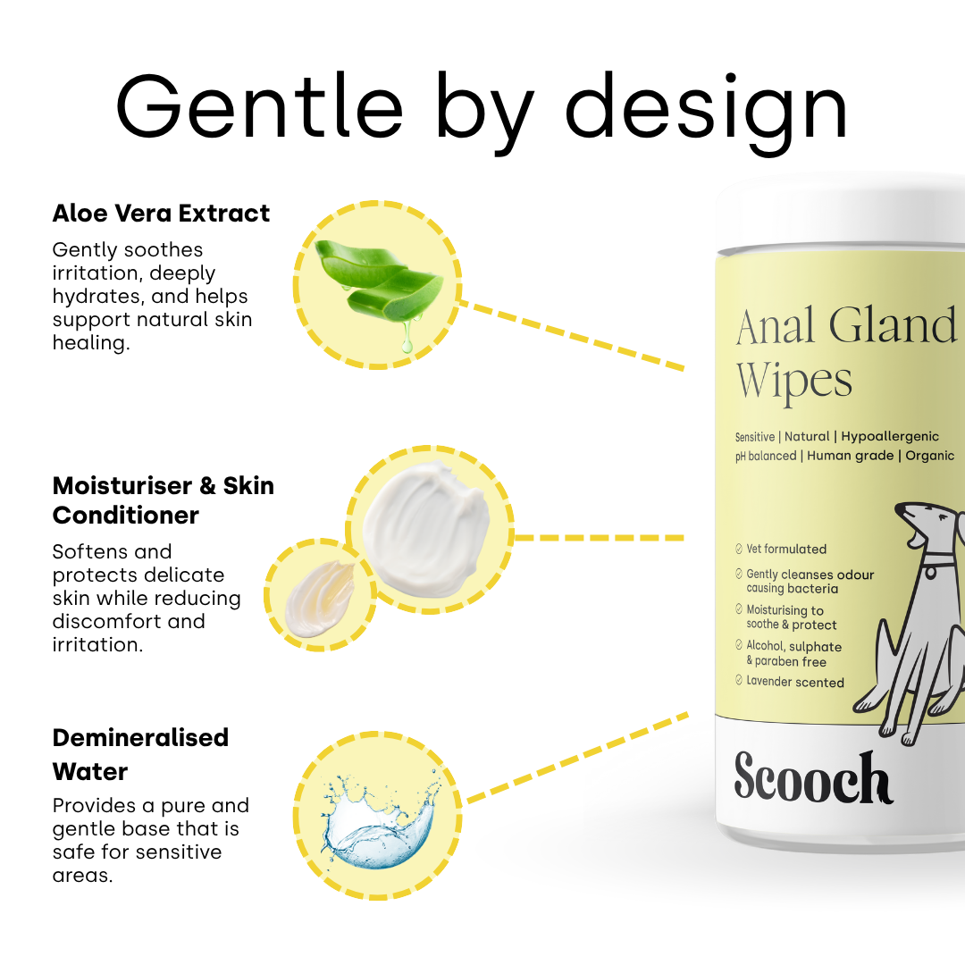 Anal Gland wipes