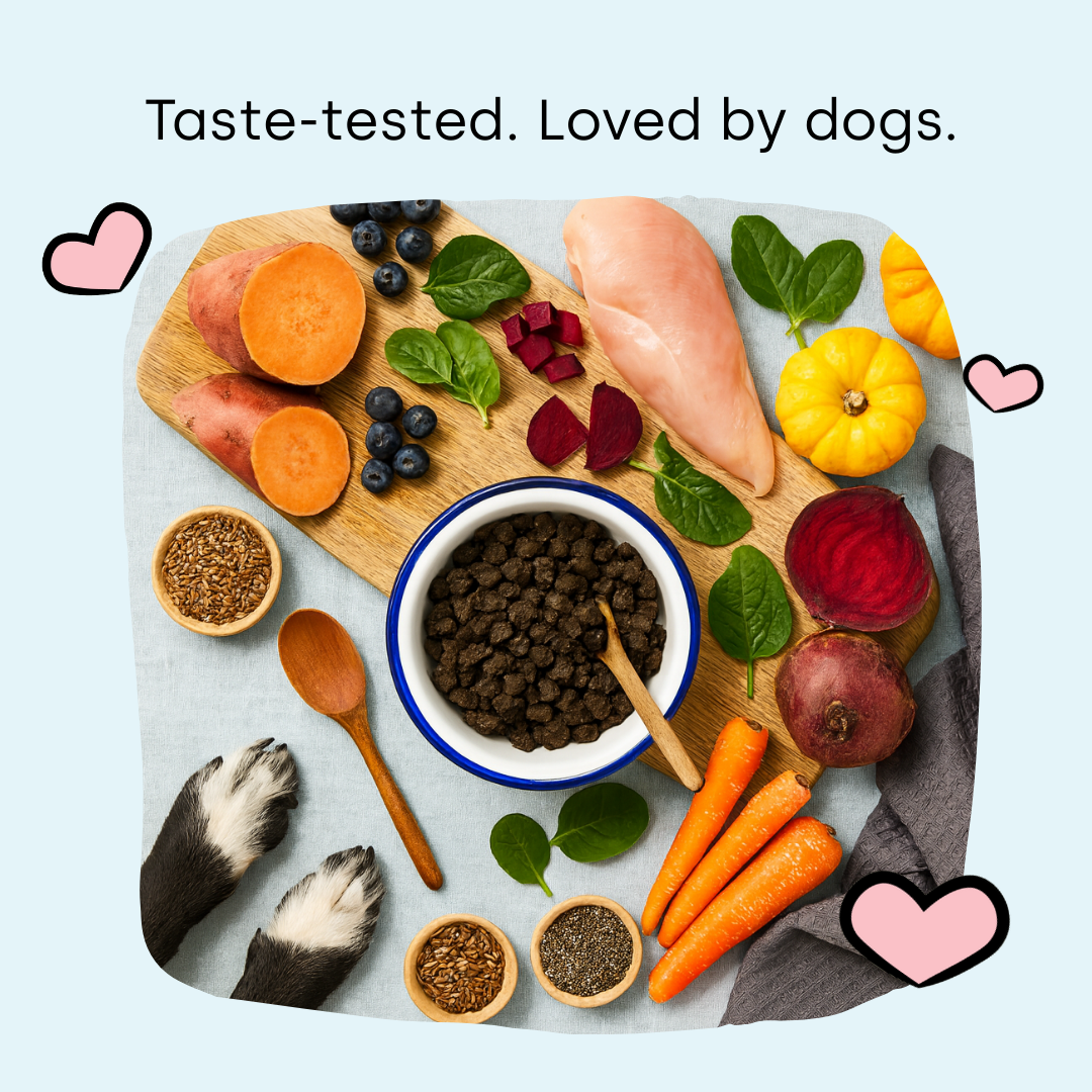 Premium Air-Dried Dog Food - Skin & Coat Wellness.