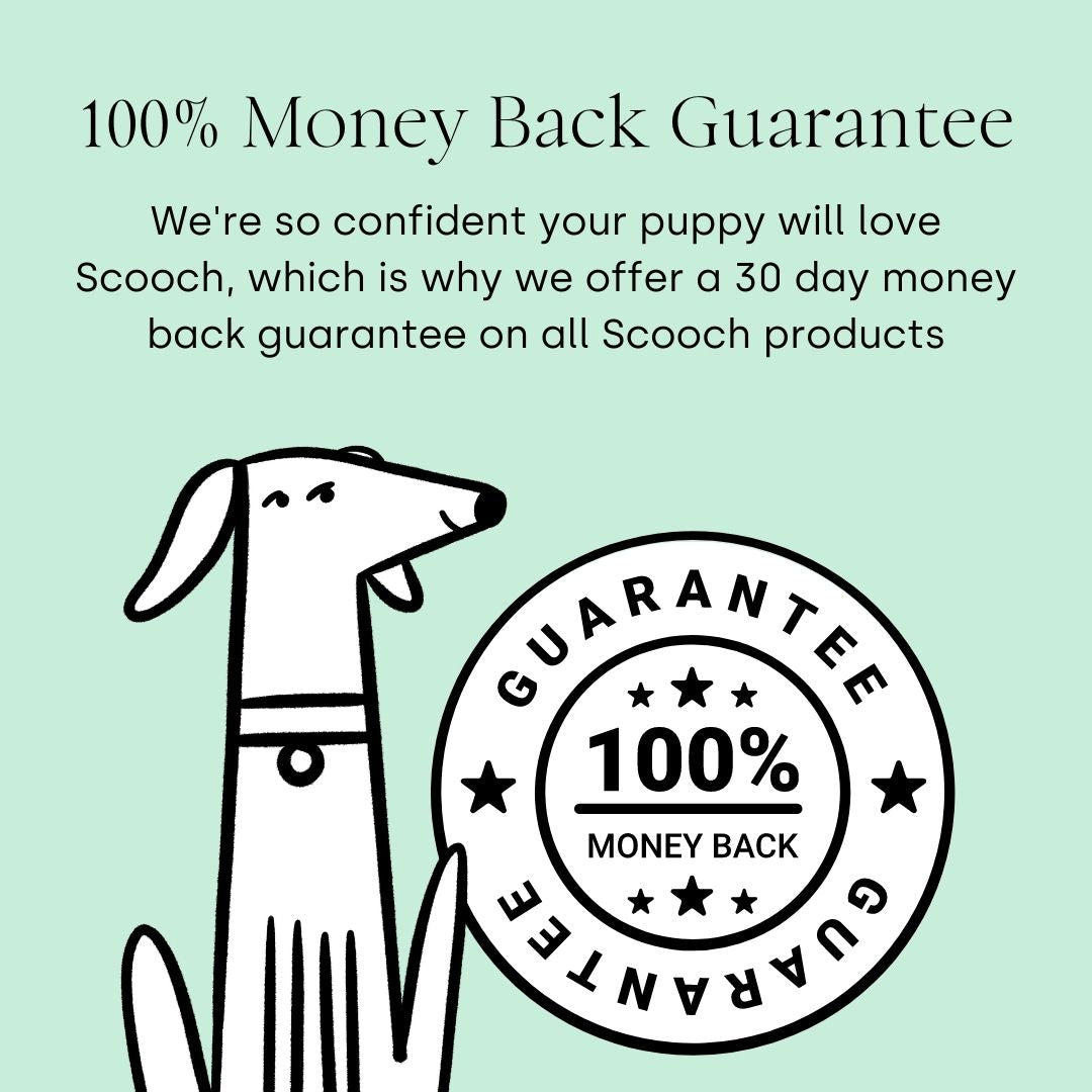 Puppy All-In-One (2 packs)