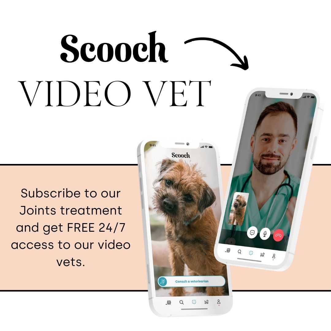 Joint & Mobility (Subscription)