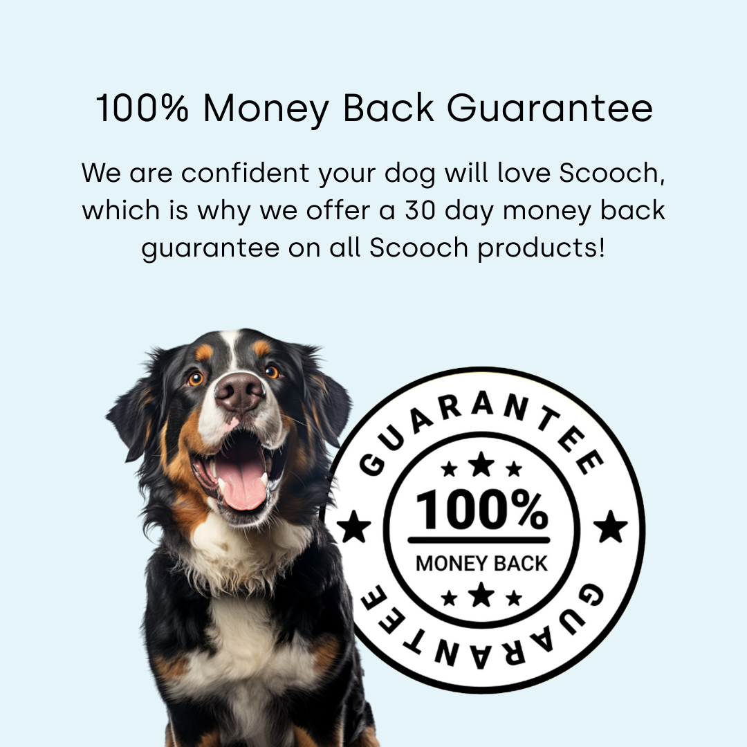 Premium Air-Dried Dog Food - Skin & Coat Wellness.