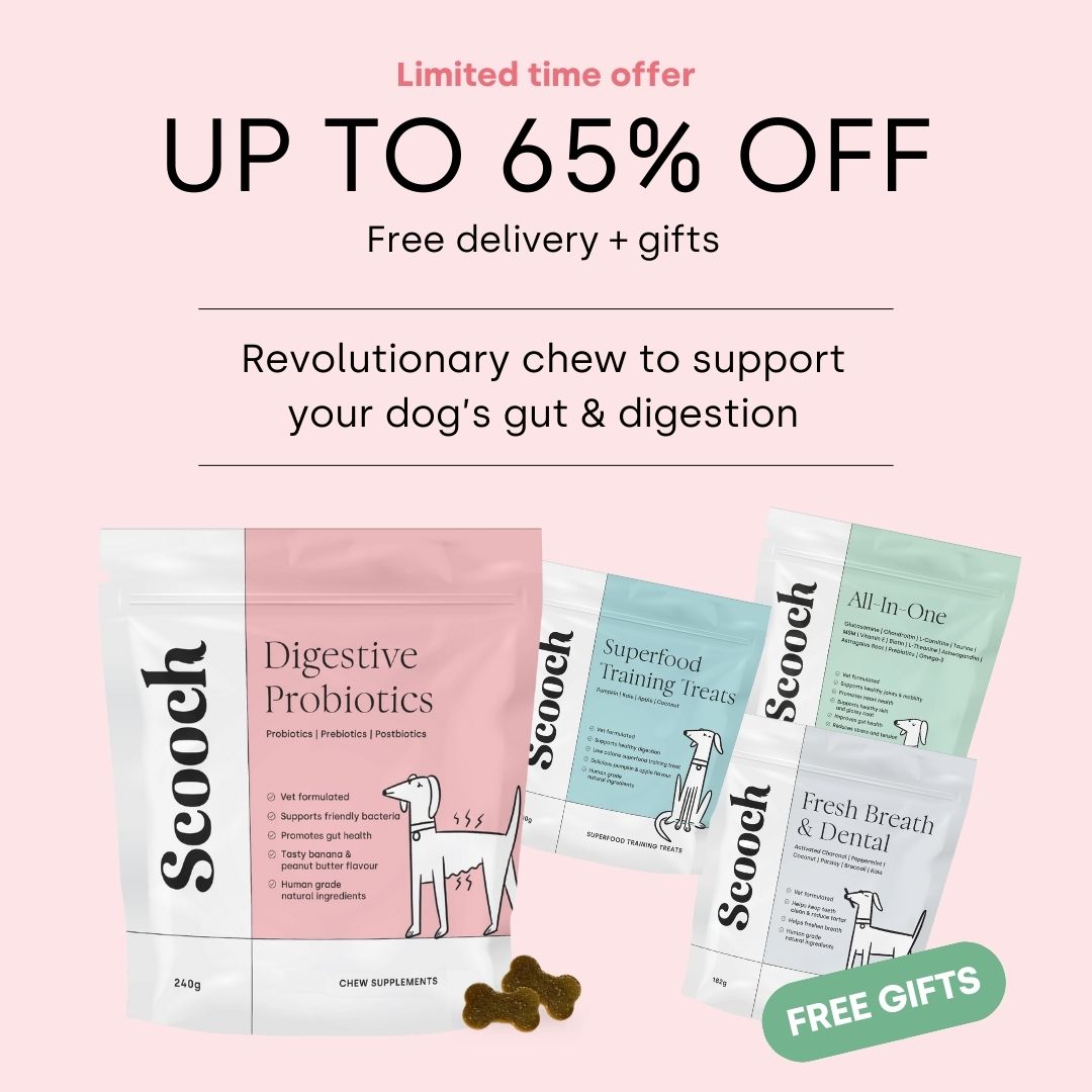 Gut & Digestion (1 pack)