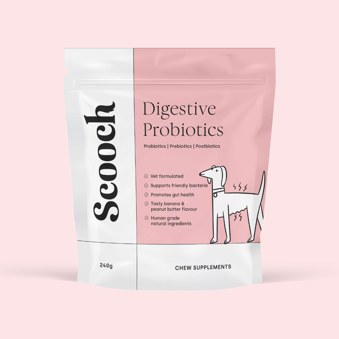 Gut & Digestion (3 packs)