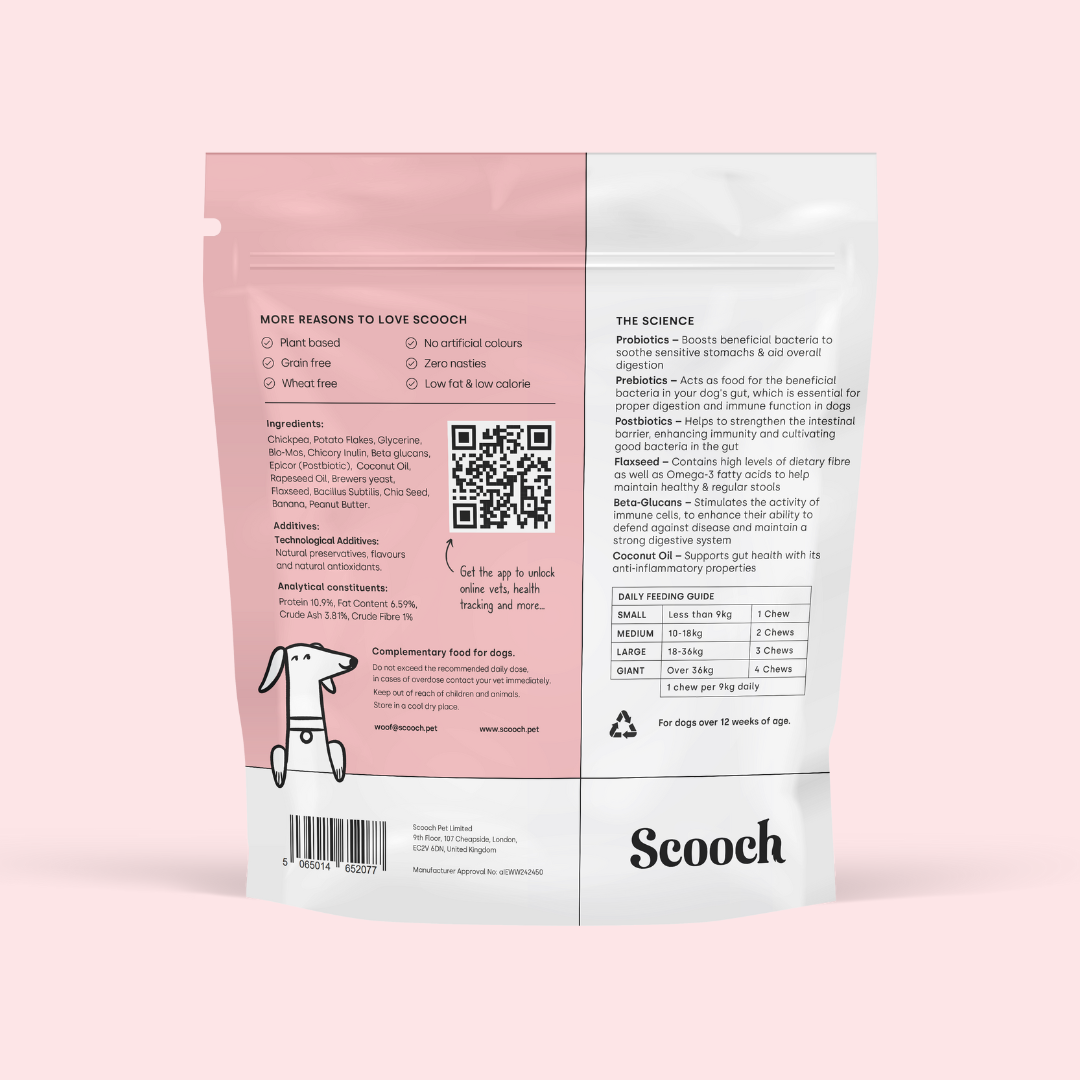 Gut & Digestion (1 pack)