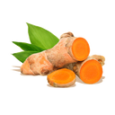 Turmeric root