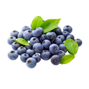 Blueberry