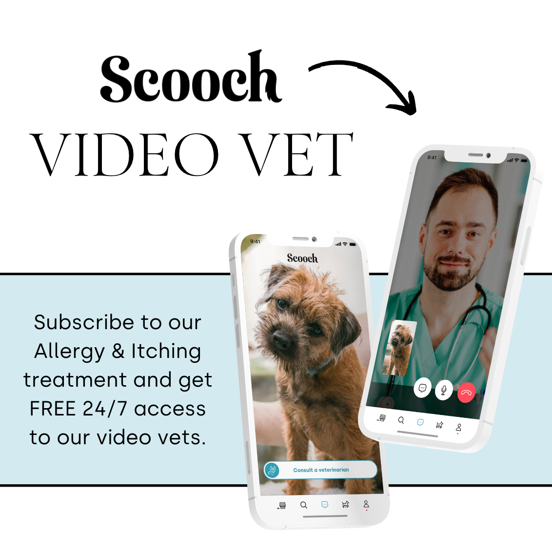 Allergy & Itching (3 packs)