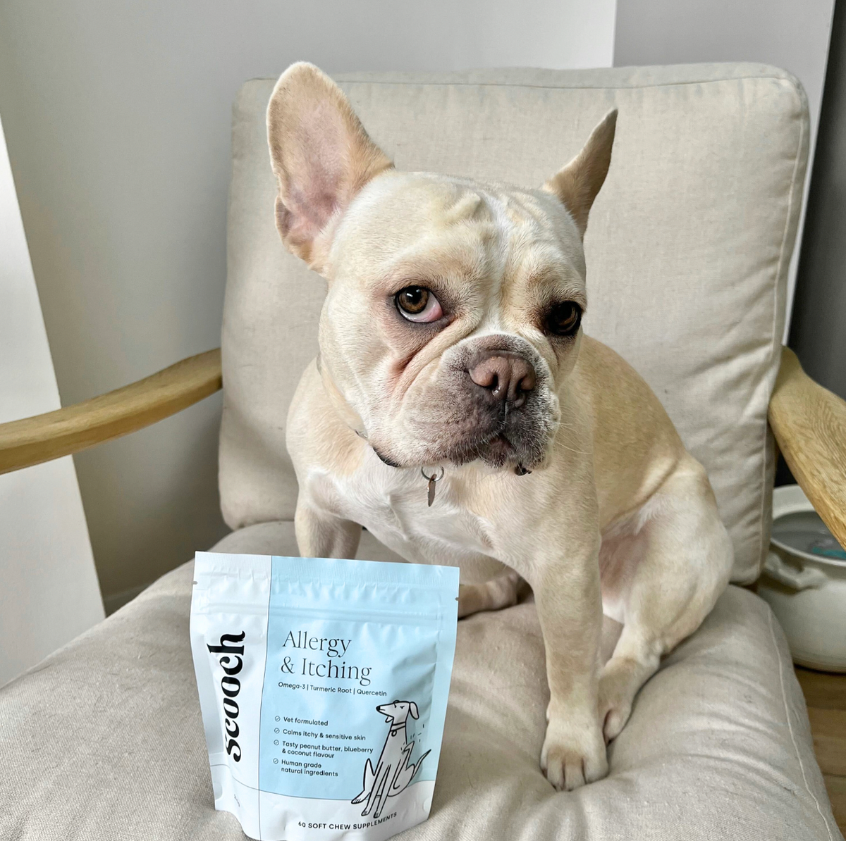 Allergy & Itching (3 packs)