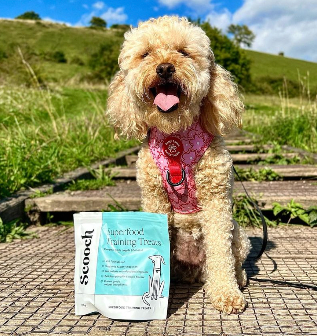 Low calorie online dog training treats