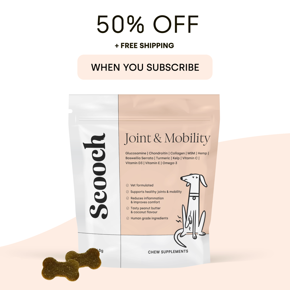 Joint & Mobility (3 packs)