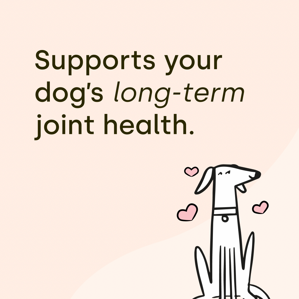 Joint & Mobility (3 packs)