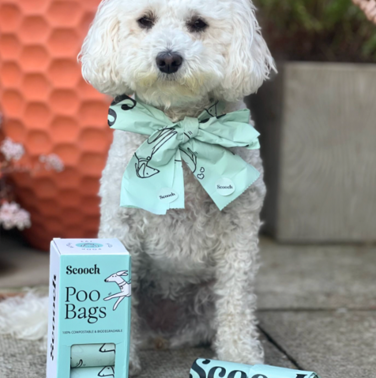 Poo Bags (3 packs)