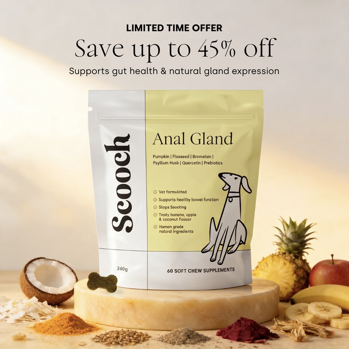 Anal Gland
