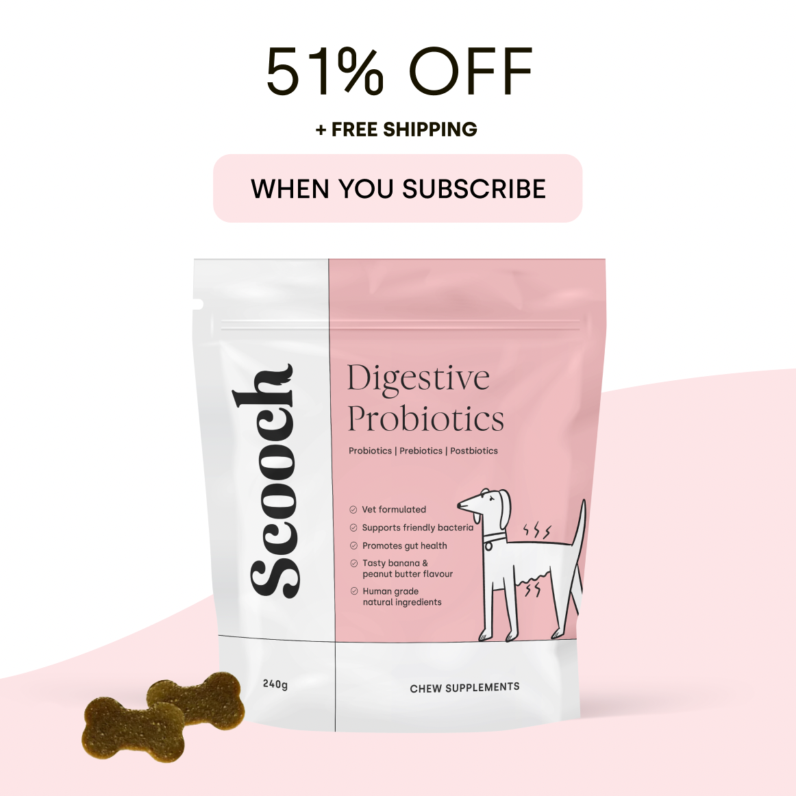 Probiotics and prebiotics for dogs best sale