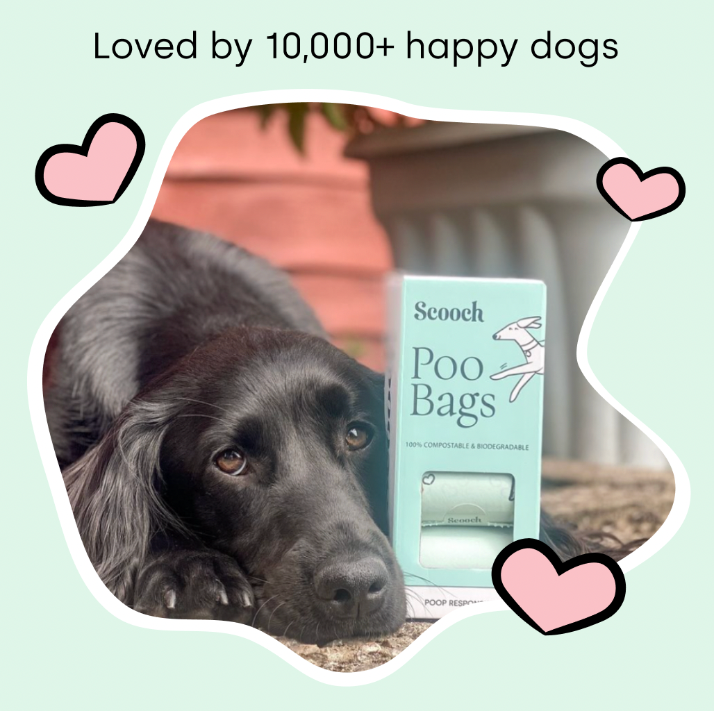 Poo Bags (3 packs)