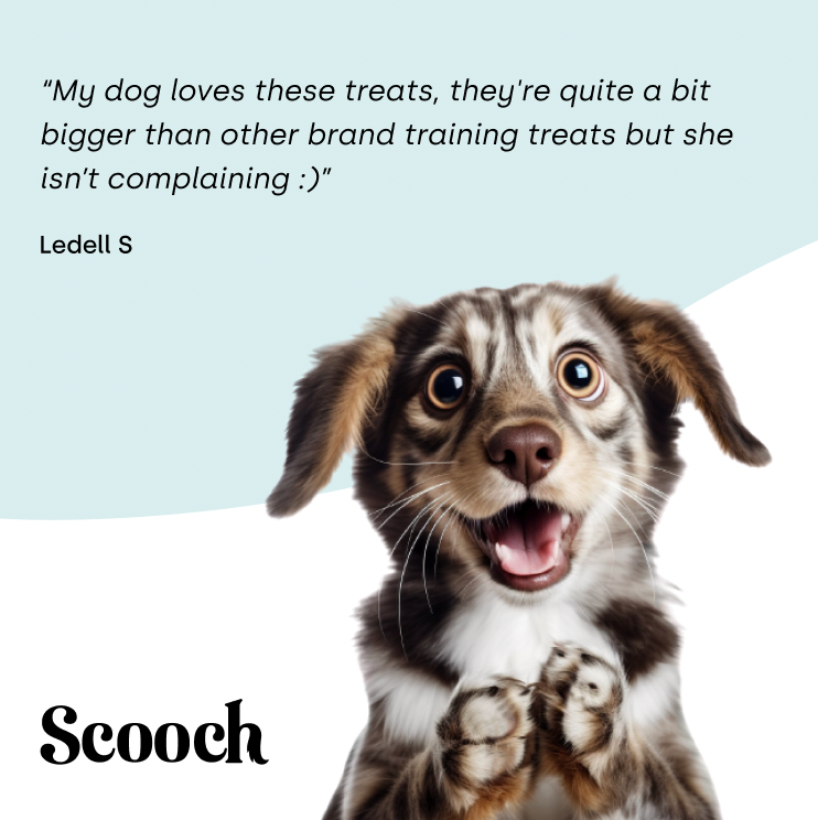 Training Treats (3 packs)