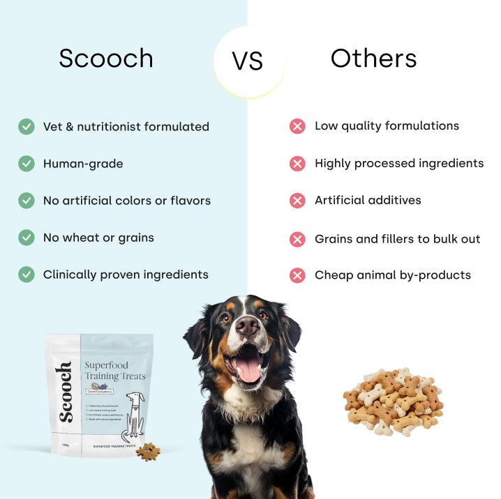 Training Treats Coconut