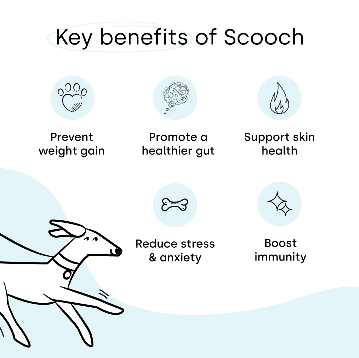 Training Treats Coconut